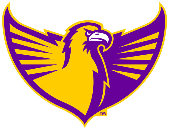 Tennessee Tech Golden Eagles 2006-Pres Alternate Logo v7 diy DTF decal sticker